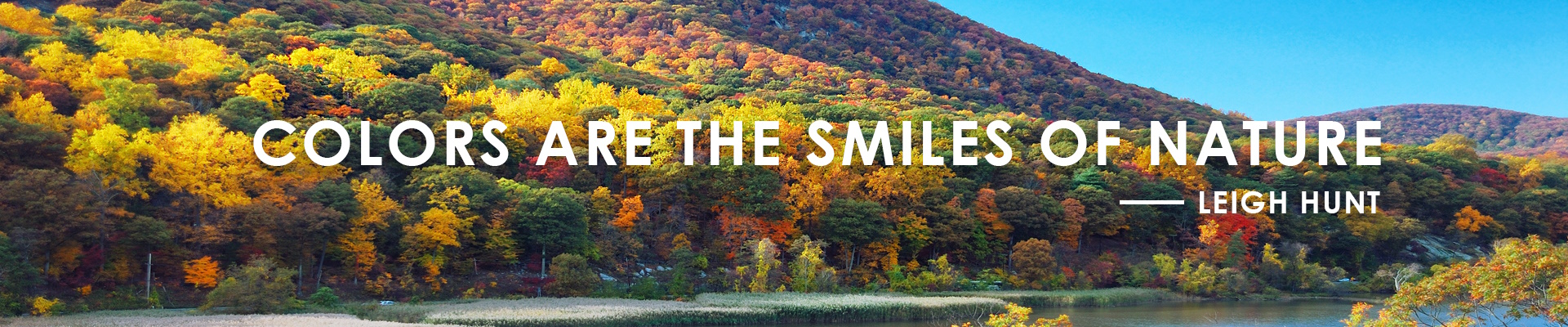 About Us Quote