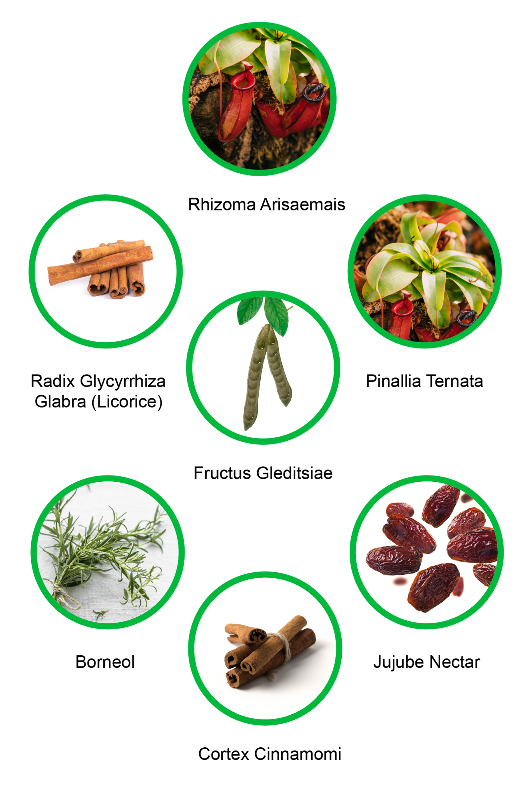 ByeKough Ingredient