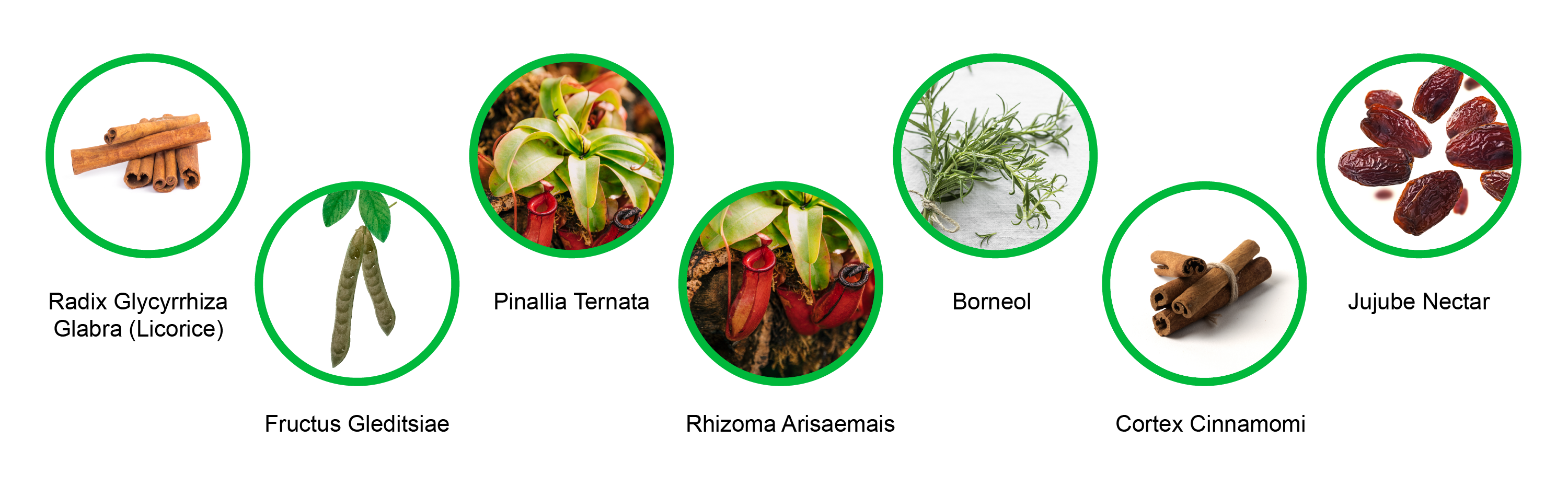 ByeKough Ingredient